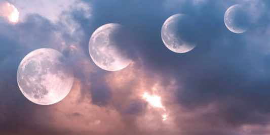 Dein Zyklus-Guide: Wie dein Körper jeden Monat abgeht!